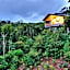 O'Reilly's Rainforest Retreat