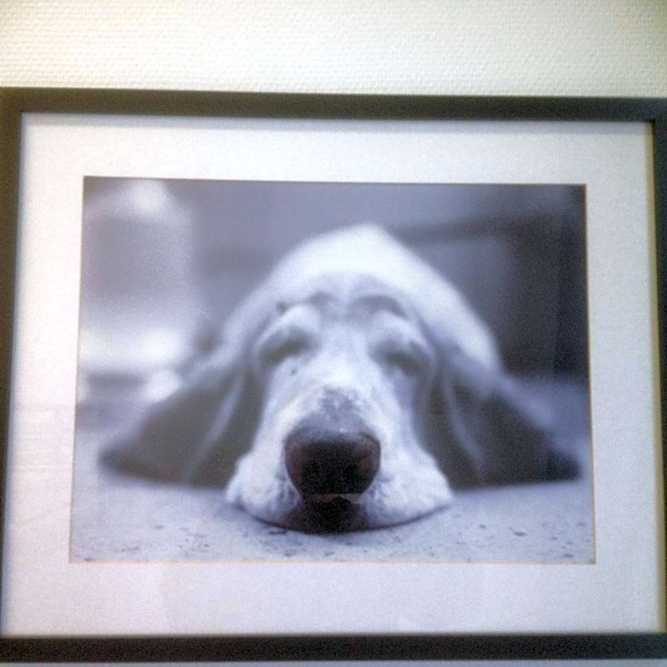 Gafsele Lappland Hostel