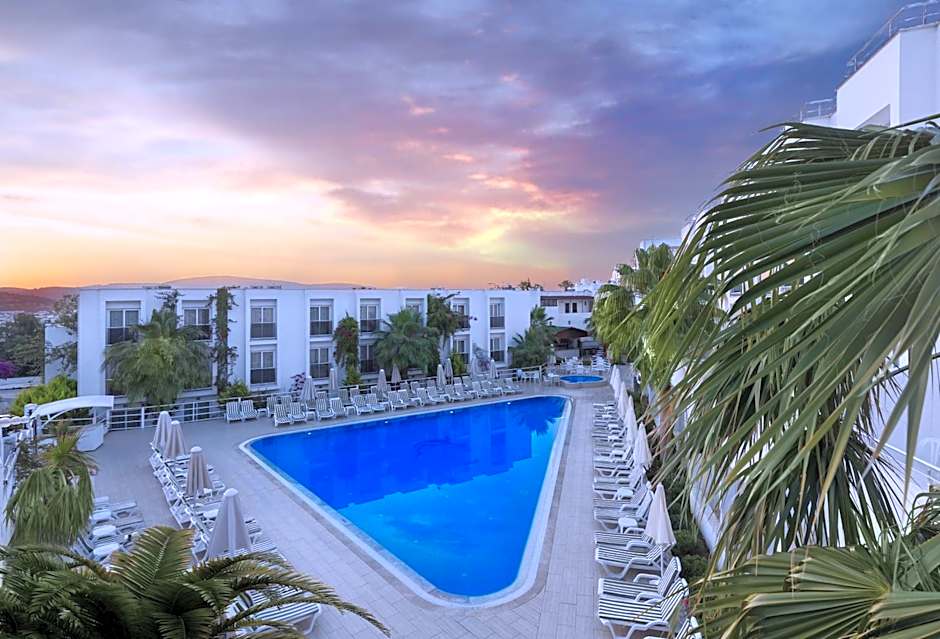 Club Shark Hotel