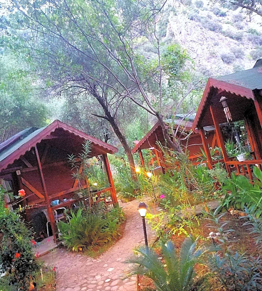 Canario Bungalows