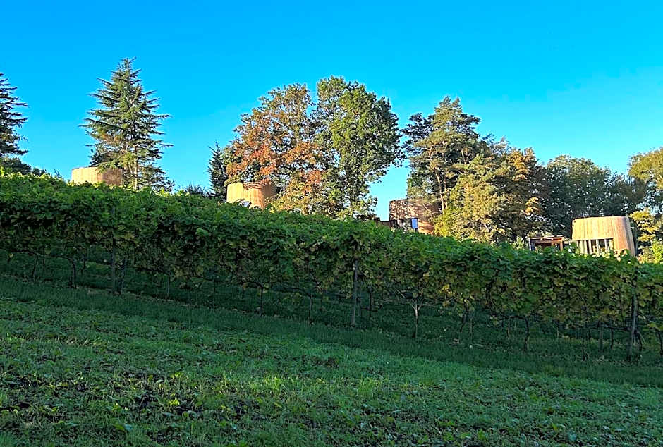 Cabanes avec jacuzzi les pieds dans la vignes