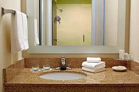 Suite, 1 King Bed with Sofa bed (1 King Bed and 1 Double Sofa Bed)