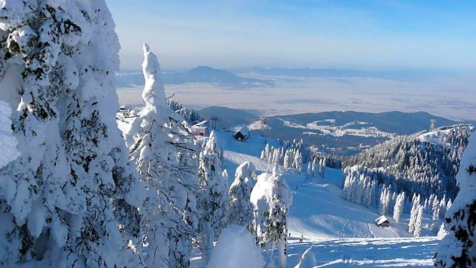 Apartament Alpin Poiana Brasov , etaj 8