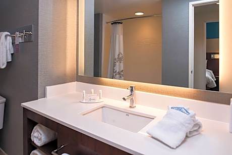 Suite, 1 Bedroom (1 King Bed and 1 Double Sofa Bed)