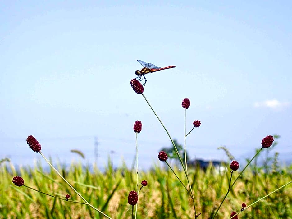Canadian Loghouse Inn AzuminoYujin