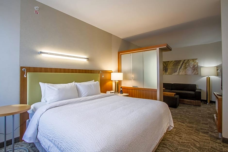 SpringHill Suites by Marriott San Angelo