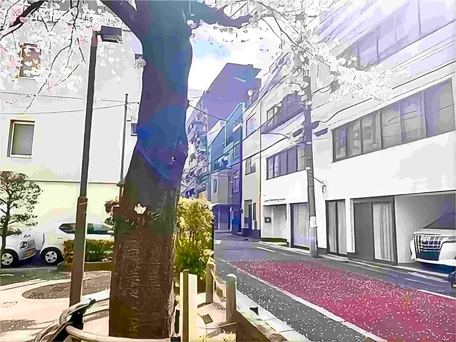 Tokyo Cherry Blooming Hotel Ueno 东京超级中心上野公园3分钟 地铁1分钟 位置绝佳超级繁华 免费wifi Dyson吹风机COB