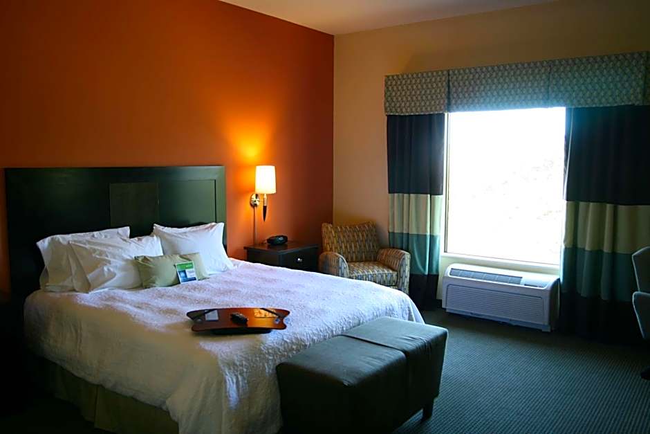 Hampton Inn By Hilton & Suites Austin