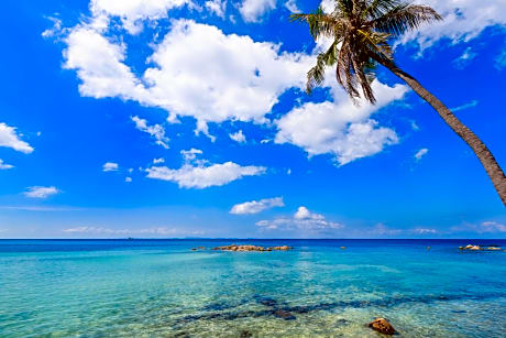 Beyond the Blue Horizon Boutique Bungalows