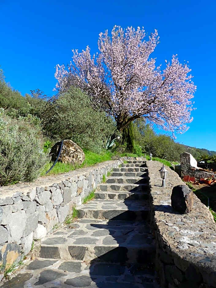 Mountain Hostel&House Finca La Isa by Rose