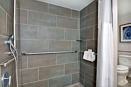 1 King Suite Accessible Roll In Shower Non-Smoking