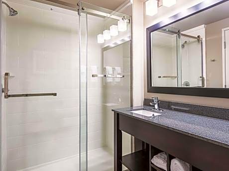 King Room/Non-Smoking