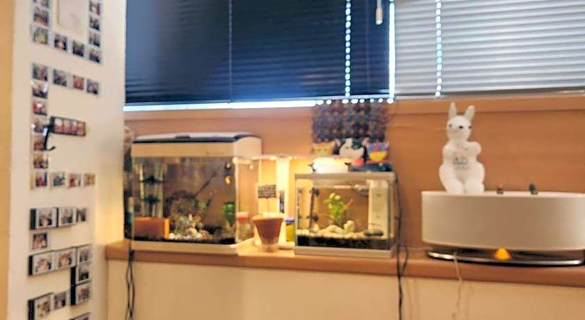 Sokcho And Guest House