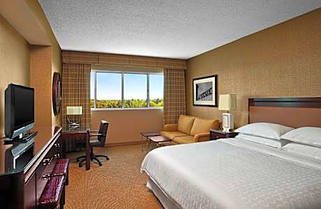 Traditional King Room with Sofa Bed - Atrium Building/Hearing Accessible