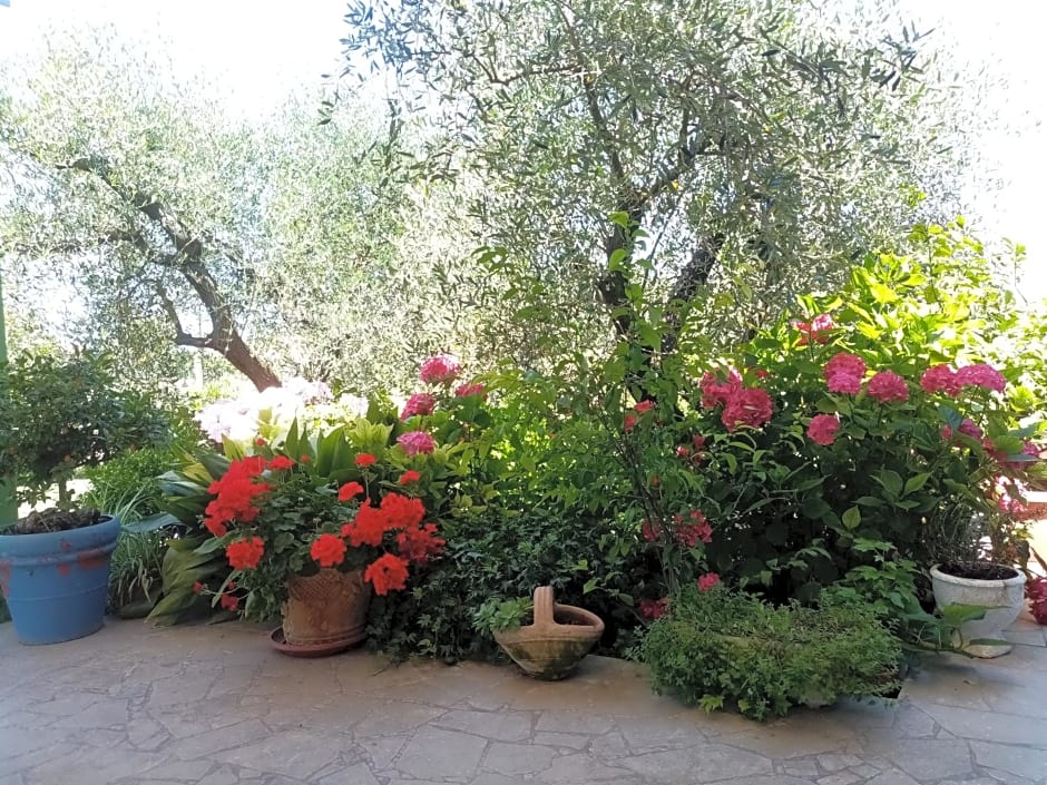 Vecchio Casale Margherita