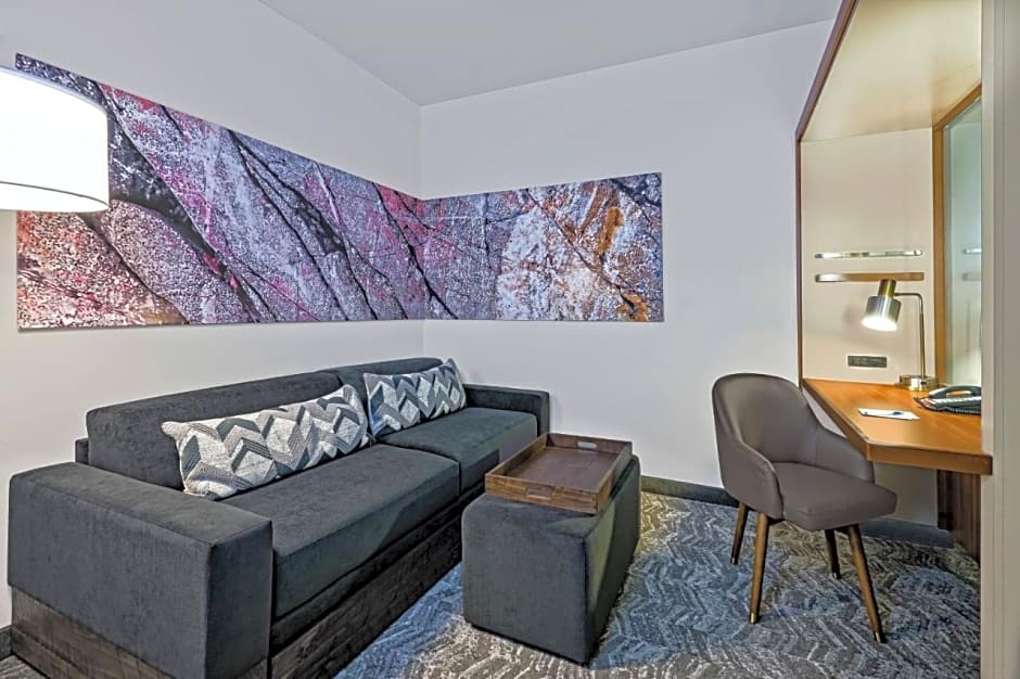 SpringHill Suites by Marriott San Antonio SeaWorld/Lackland