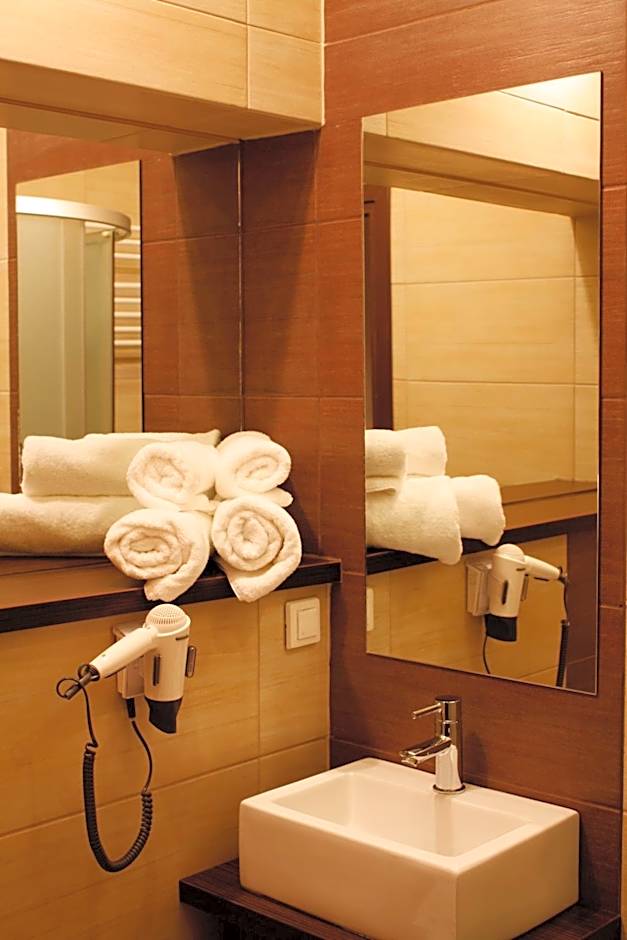 Boutique Hotel's Sosnowiec