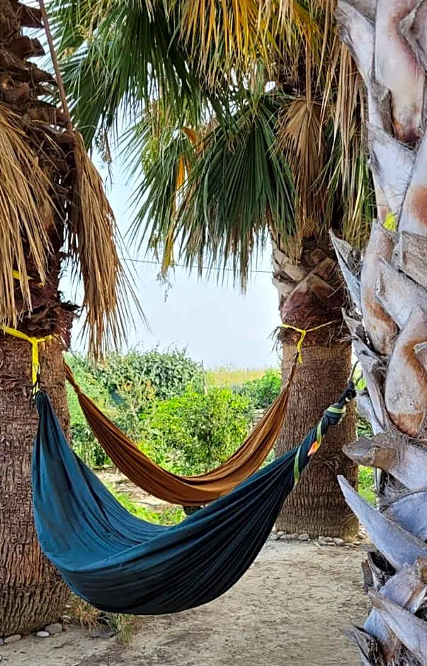 Eco Hostel VELA VEGA