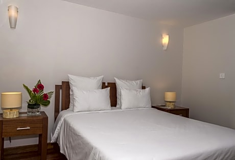 Luxury One-Bedroom Apartment