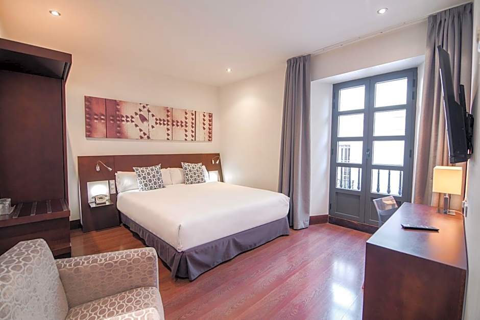 Petit Palace Marques Santa Ana