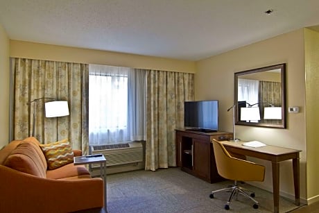 1 King Hearing Accessible Suite W/Tub Nonsmok