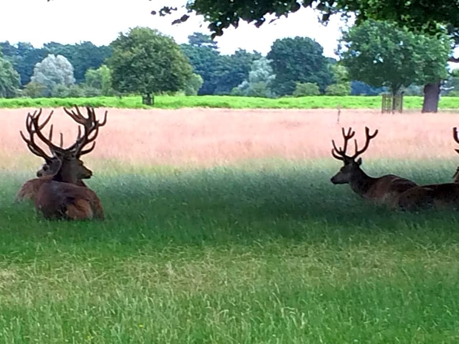 Old Station Gardens, SW London