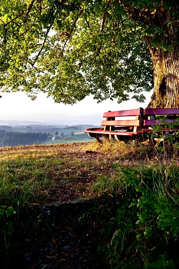 Landgasthof und Seminarhotel Lueg