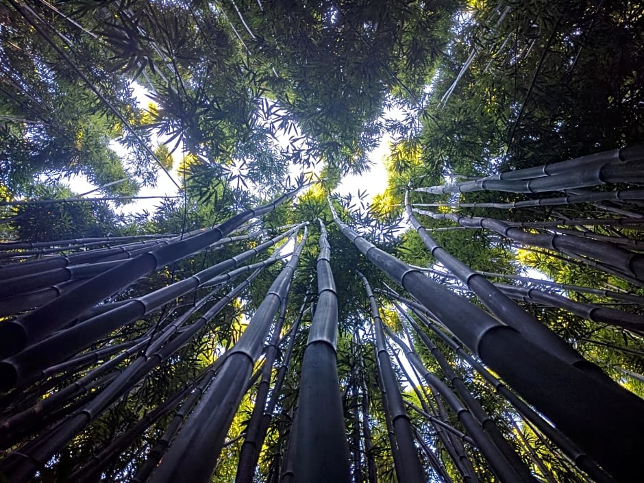 Kihei Kai Nani