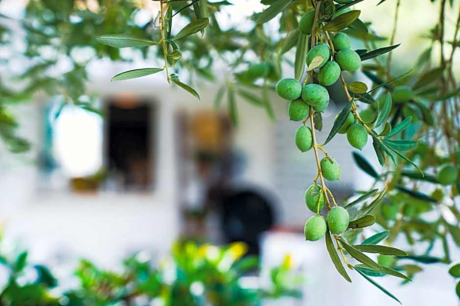 Residence Nonna Mariuccia