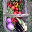 La Fattoria di Nonna Eugenia