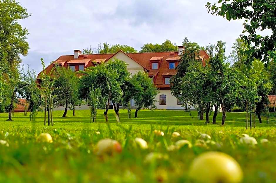 Kalnmuižas pils
