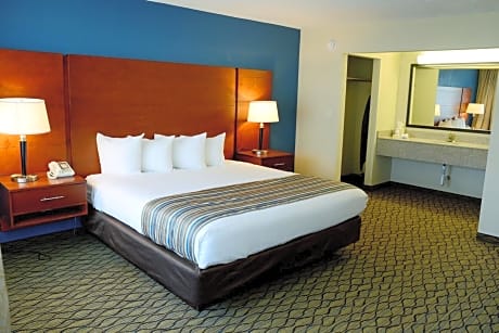 Courtside King Room - Pet Friendly