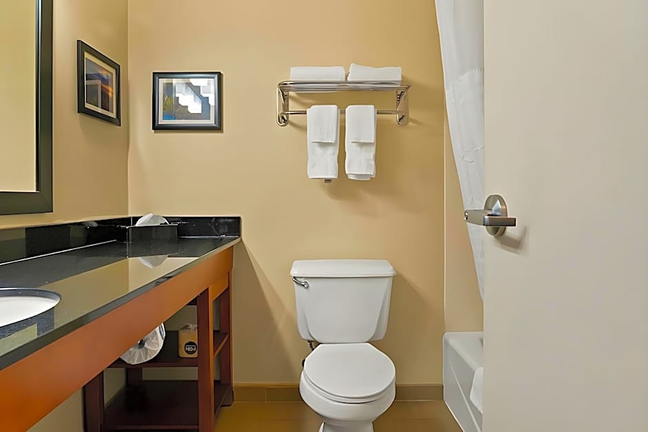 Comfort Suites Saginaw