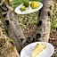 B&B Casale Pietrantica Tropea