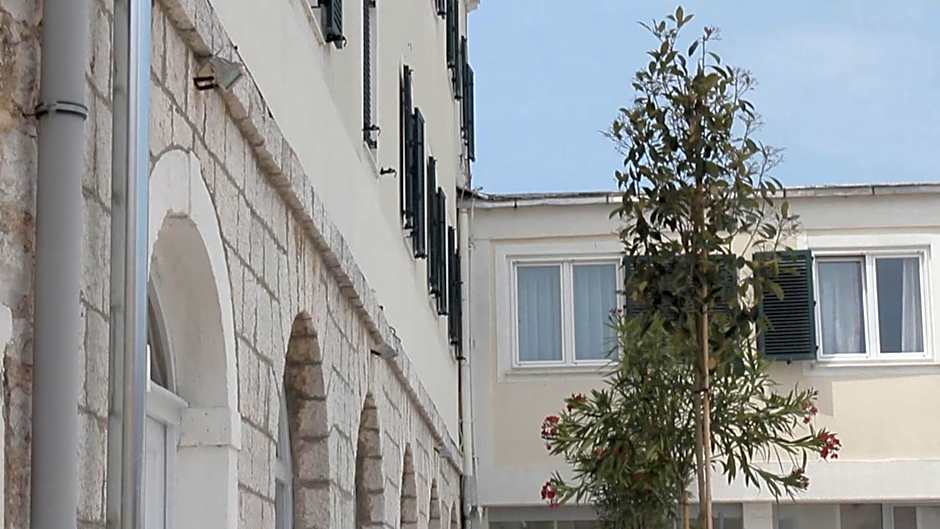 Hotel Borovnik