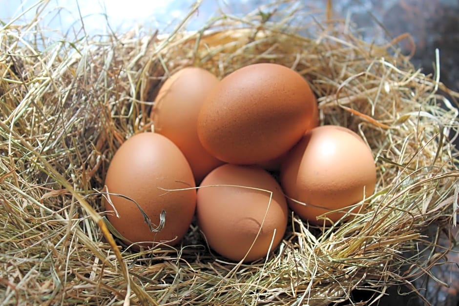 Brambling Fields B&B and Cottages