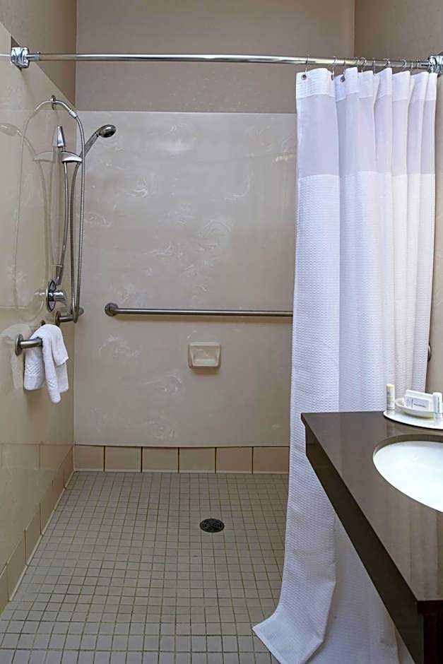 SpringHill Suites by Marriott Frankenmuth