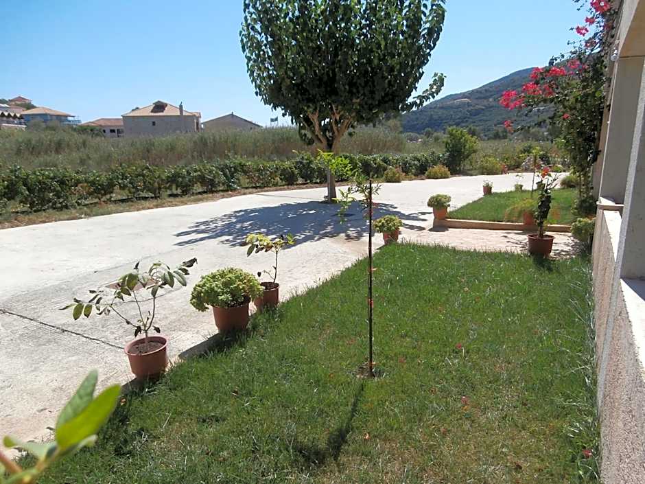 Pansion Porto Tsi Ostrias