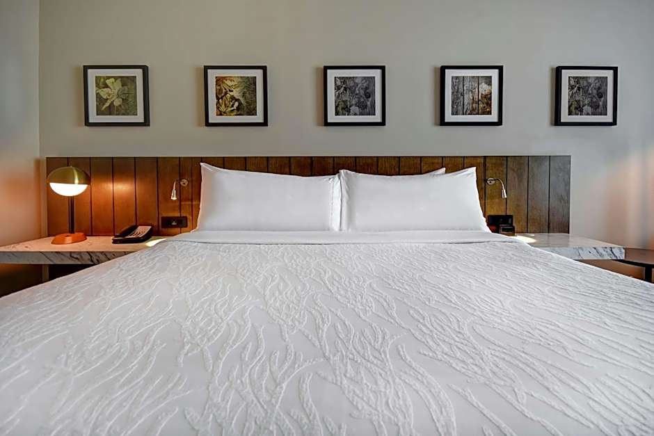 Hilton Garden Inn Jackson