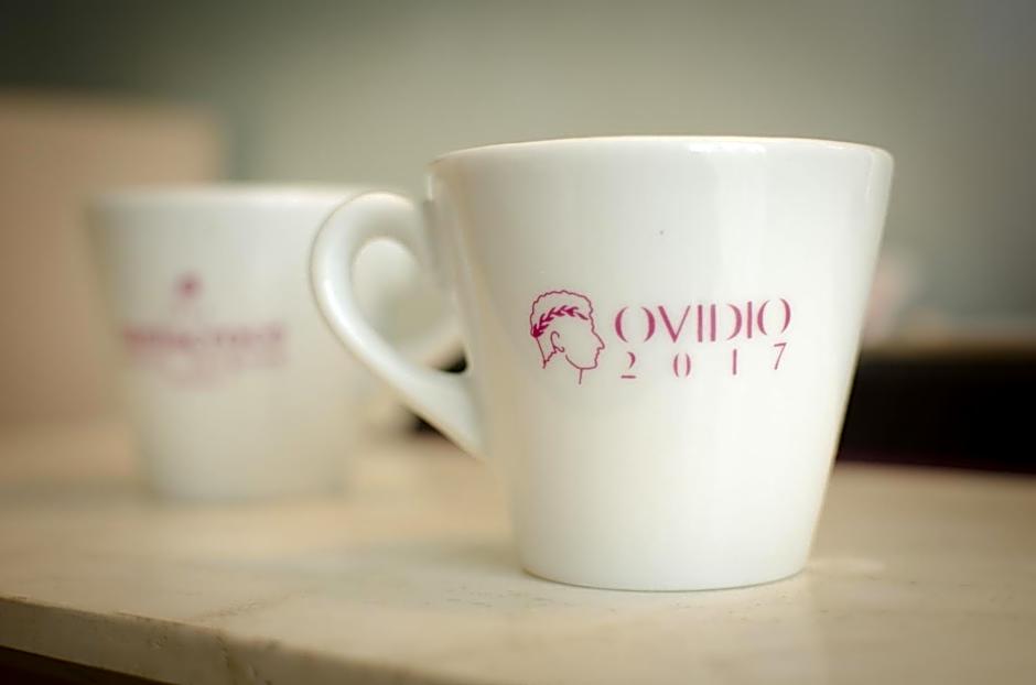 Hotel Ovidius