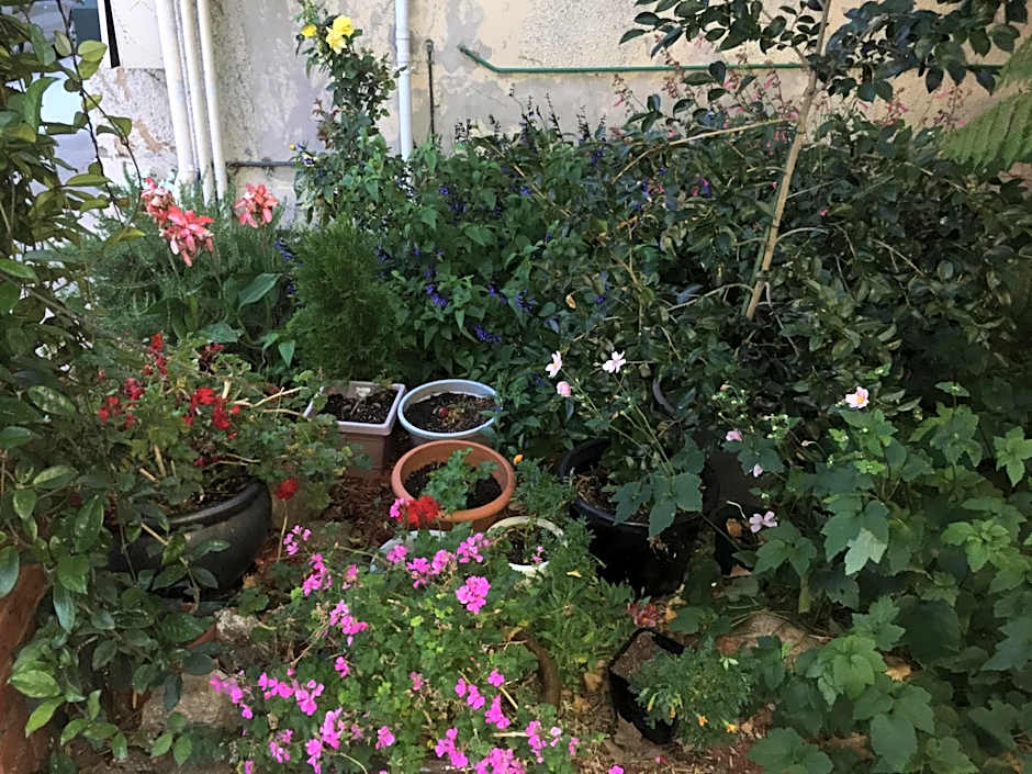 Albury Central Motel