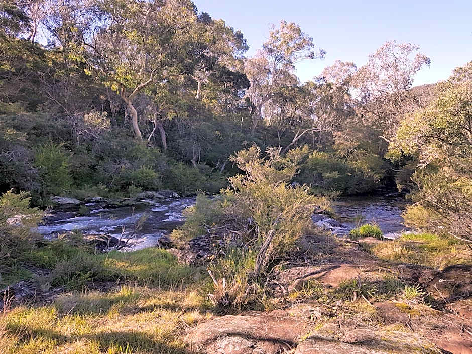 Dorrigo Bush Pepper Retreat