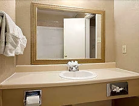 1 King Bed Accessible Room Non-Smoking