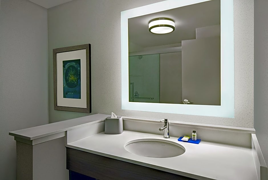 Holiday Inn Express Houston Galleria Area By IHG