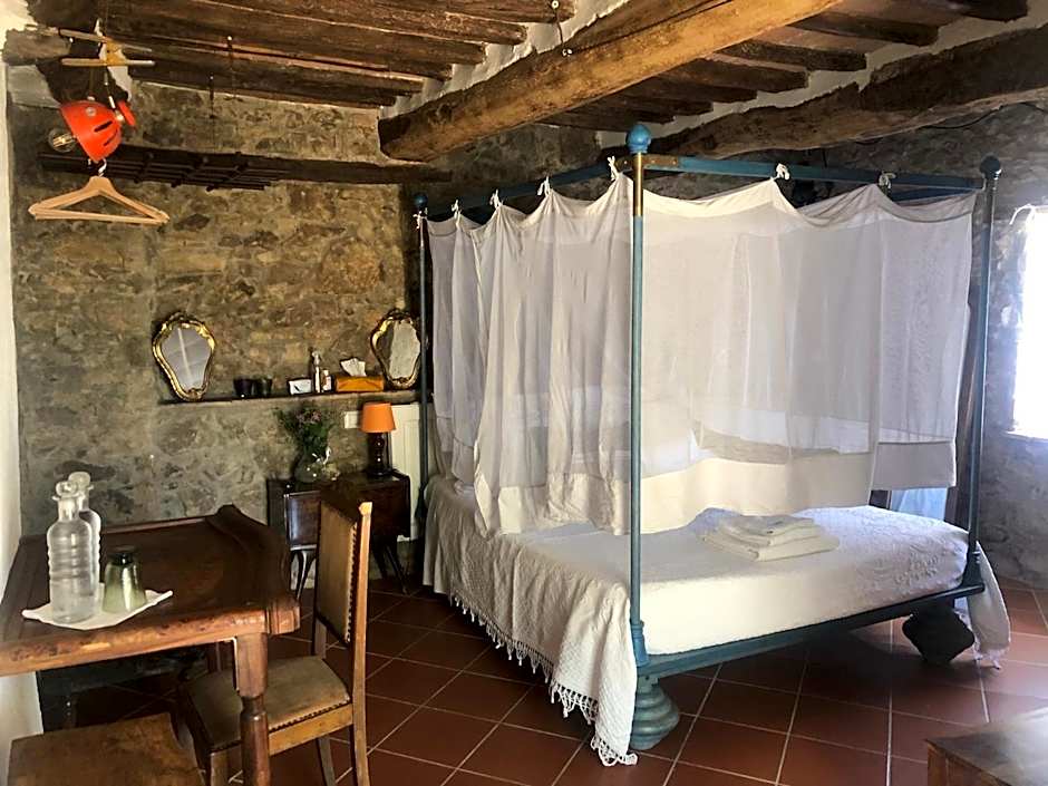 B&B Podere Camaiano