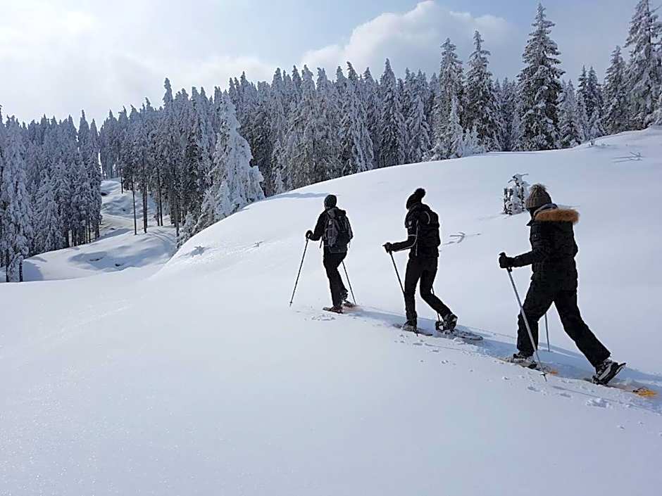 Hotel Dorfgasthof Schlösslstube