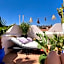 Riad Aloes & Spa