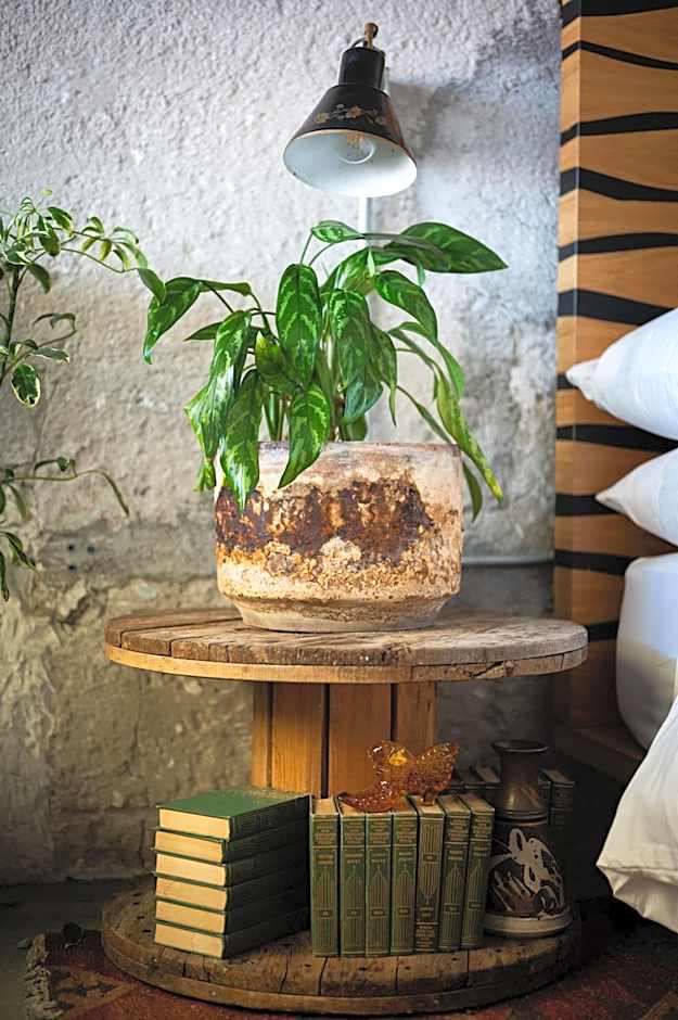 Hotel Boutique Lafayette Tijuana