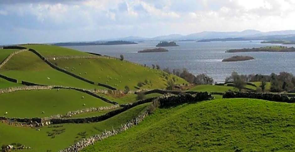 Michaeleen's Manor B&B