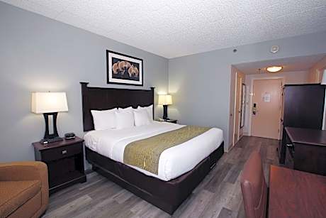 1 King Bed Non-Smoking Flat Screen Television Microwave And Refrigerator High Speed Internet Access